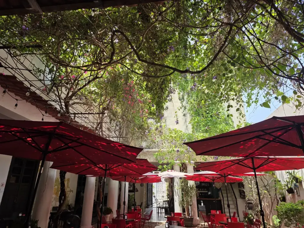 Café Montejo Mérida