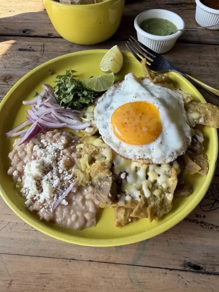 Desayunador Pajarito
