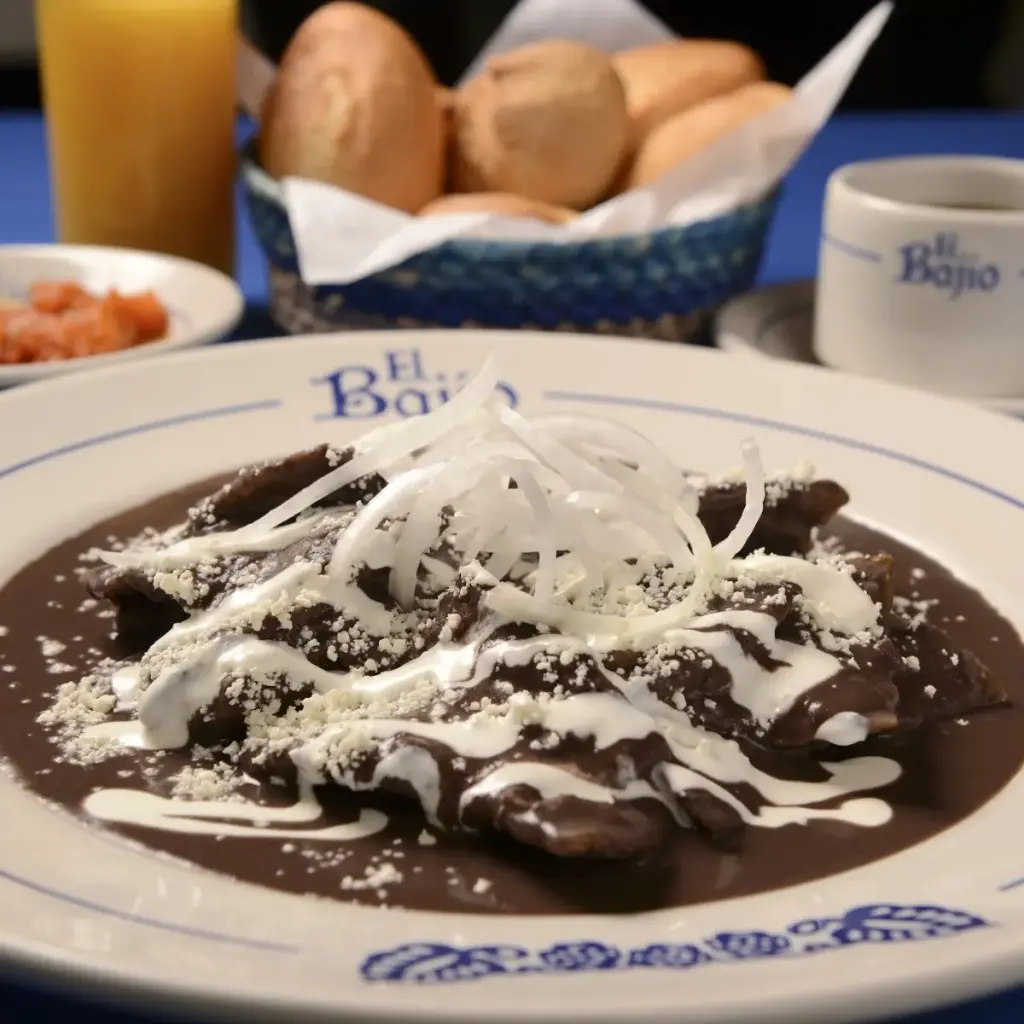 El Bajío Vía Vallejo