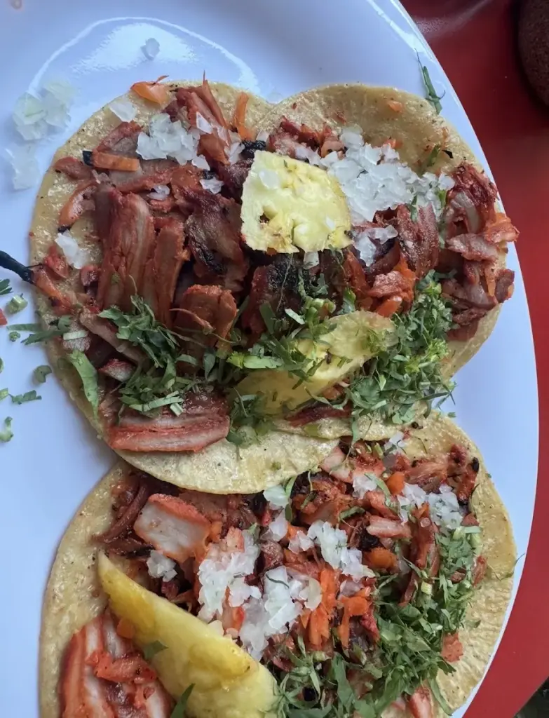 El Charco de las Ranas Pedregal