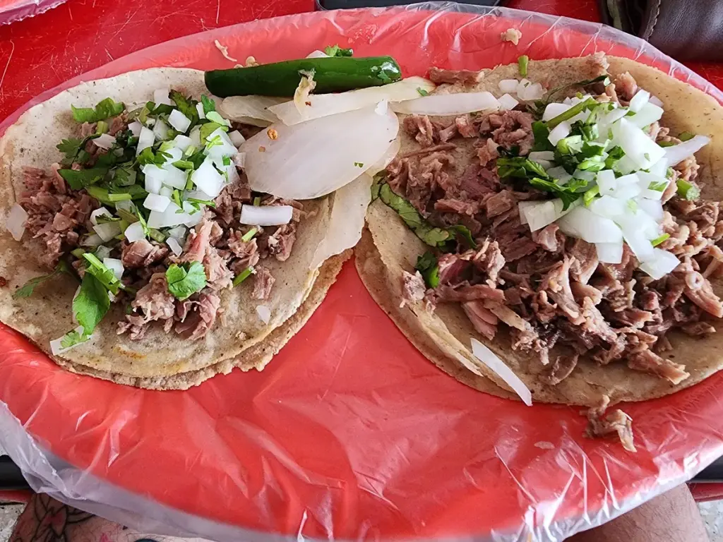 El Tacote