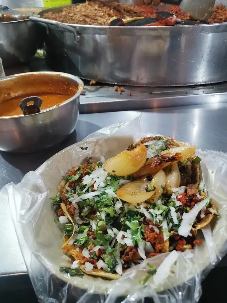El Triangulo De La Gordura