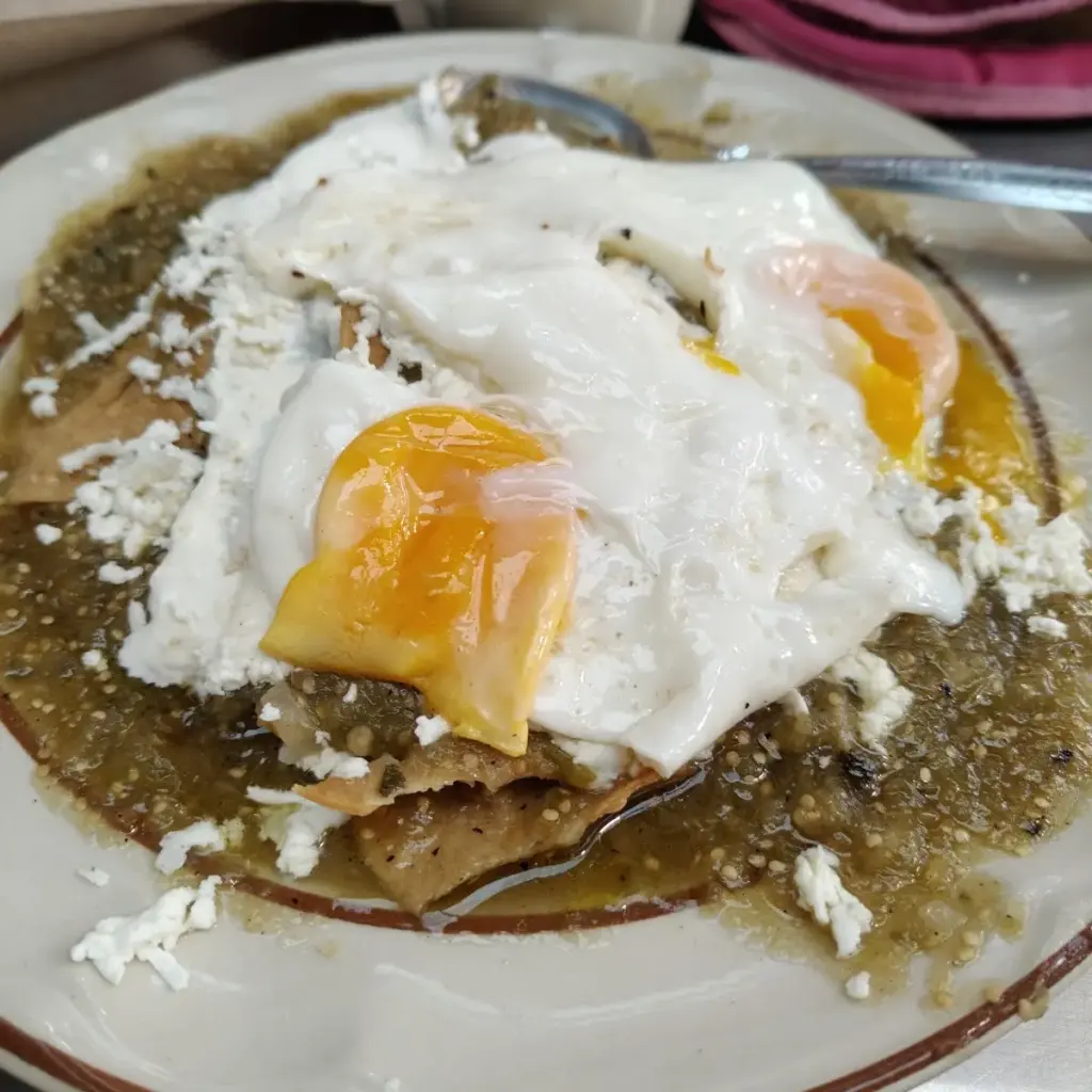 Fonda Margarita