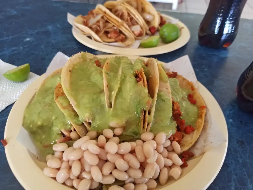 Los Tacos de Mixiote Suc. Lomas de Casa Blanca