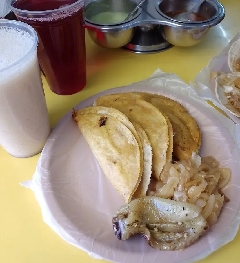 LOS TOCAYOS / LOS TCYS