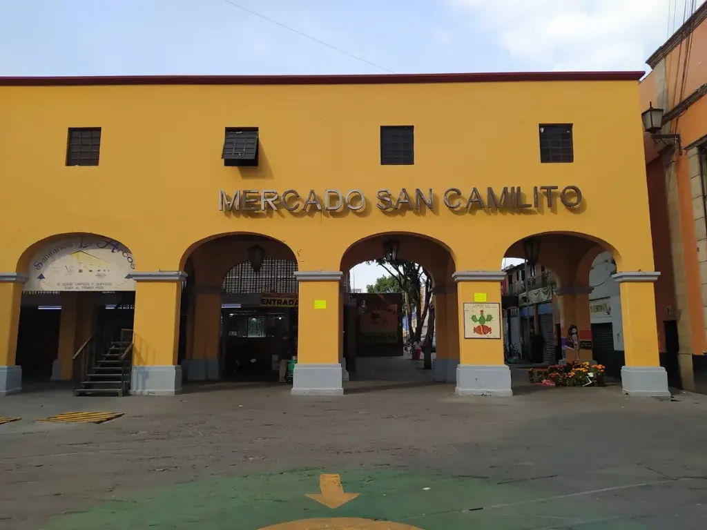 Mercado San Camilito