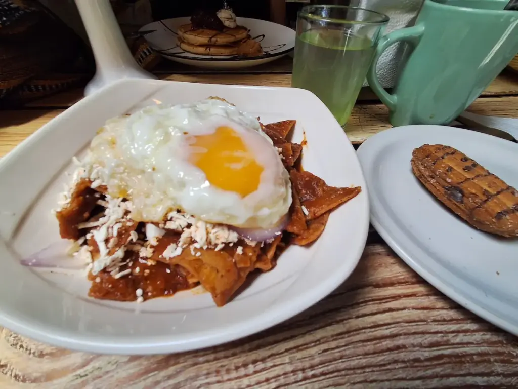 Molito Verde