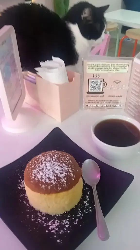 Neko-hi Café