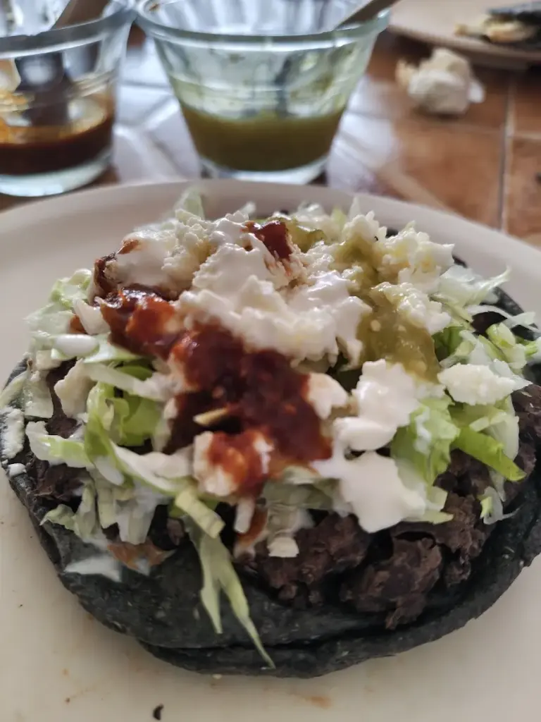 Nopalísimo Fco. de Montejo