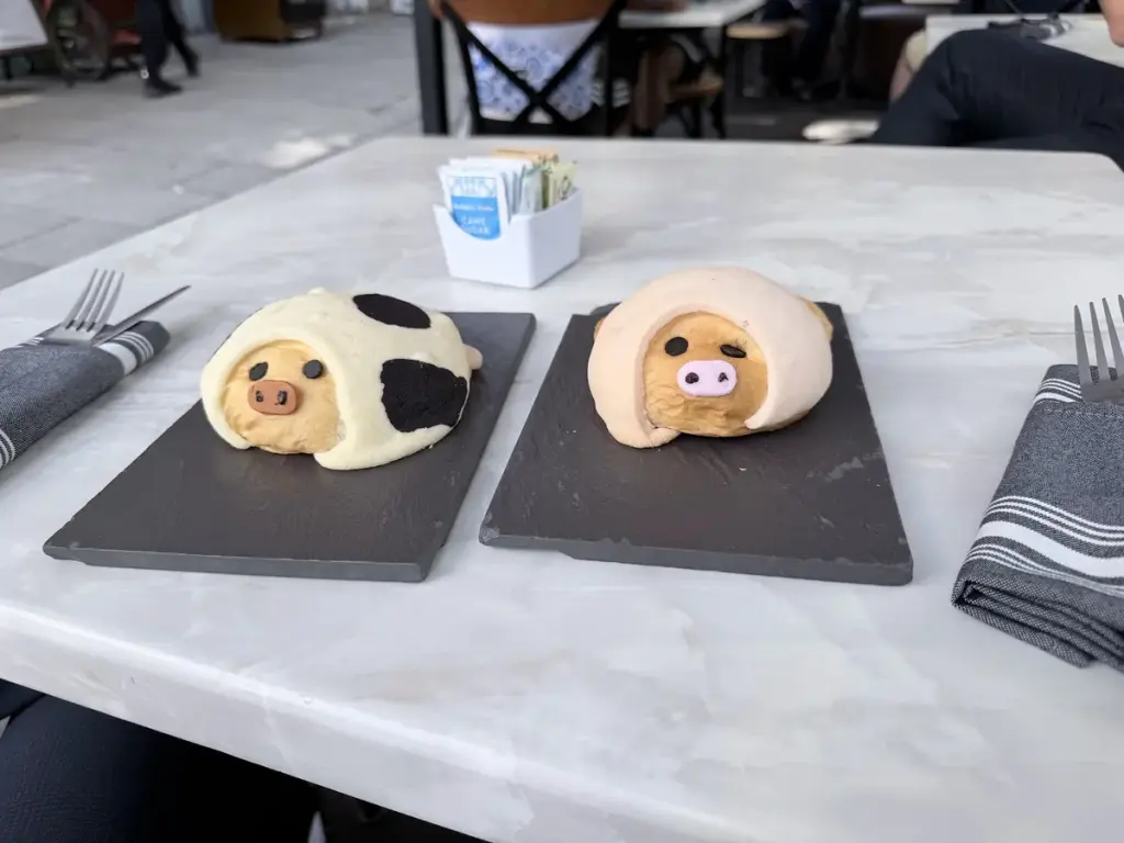 Santas Conchas Condesa