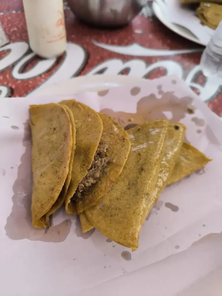 Tacos Berna