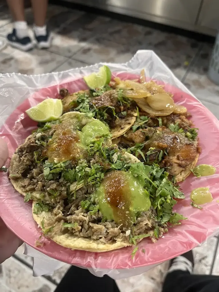 Tacos Circunvalación