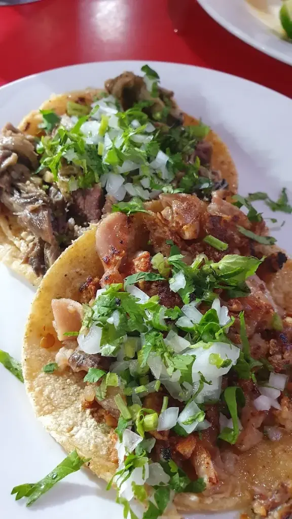 Tacos El Fogon Zona Azul Satelite