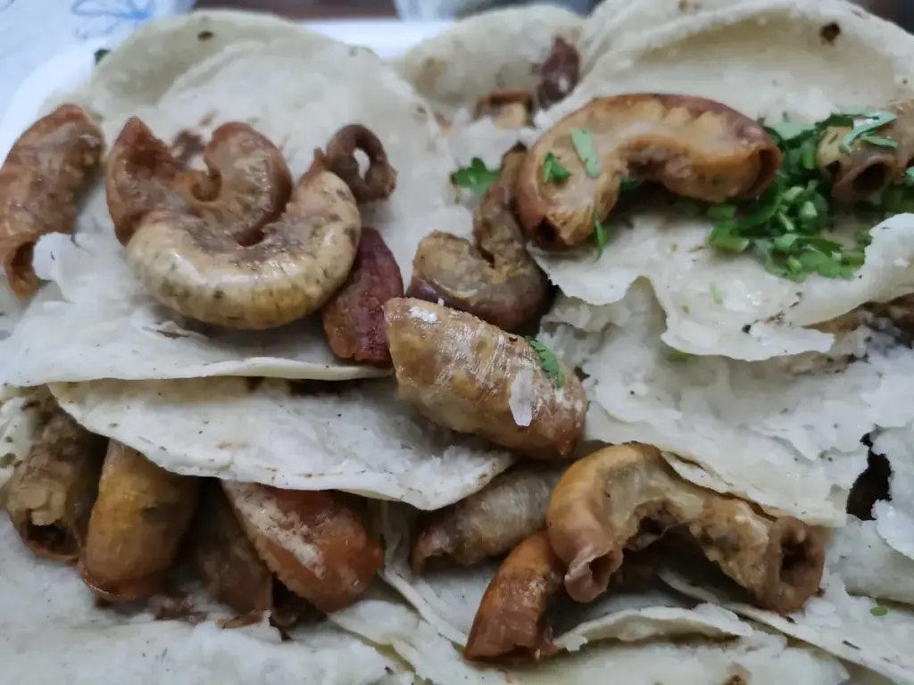 Tacos El Rojo