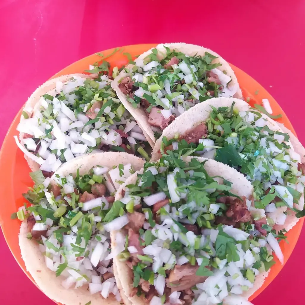 TACOS SAHUAYO TEPEYAC