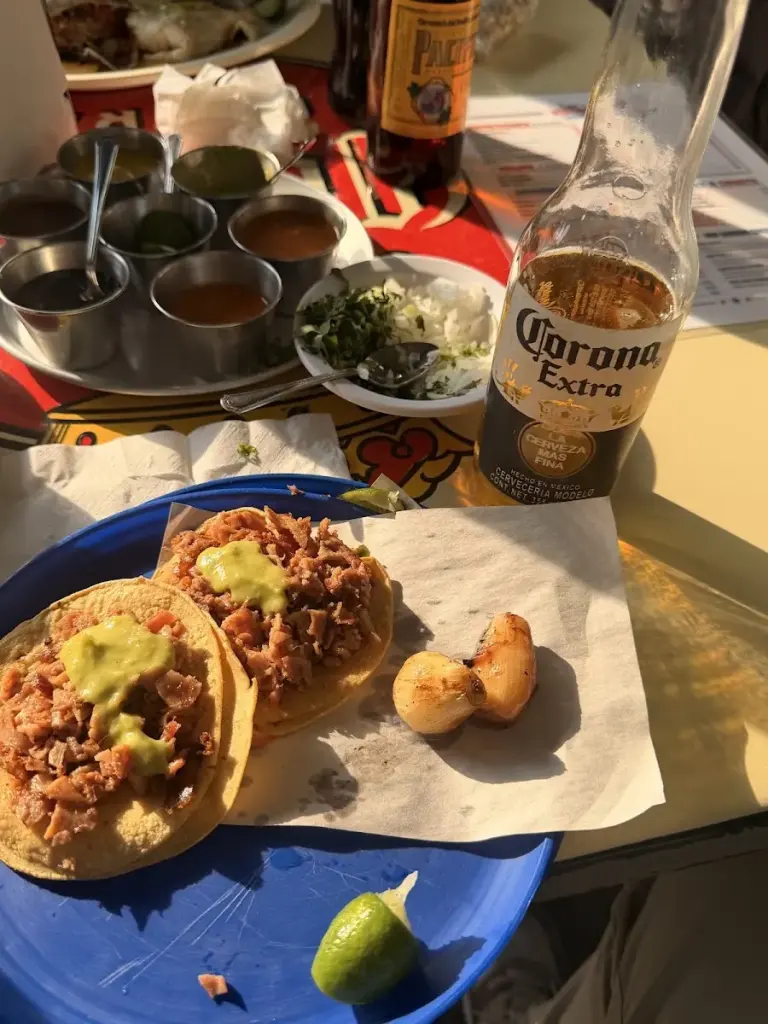 Tacos San Burgos Holbein