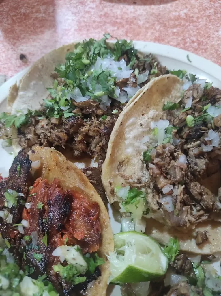 Taqueria Estrella