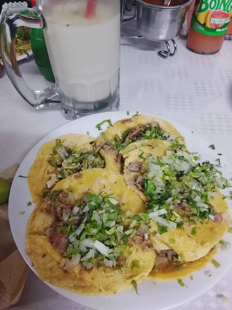 Taqueria Hns. Ochoa