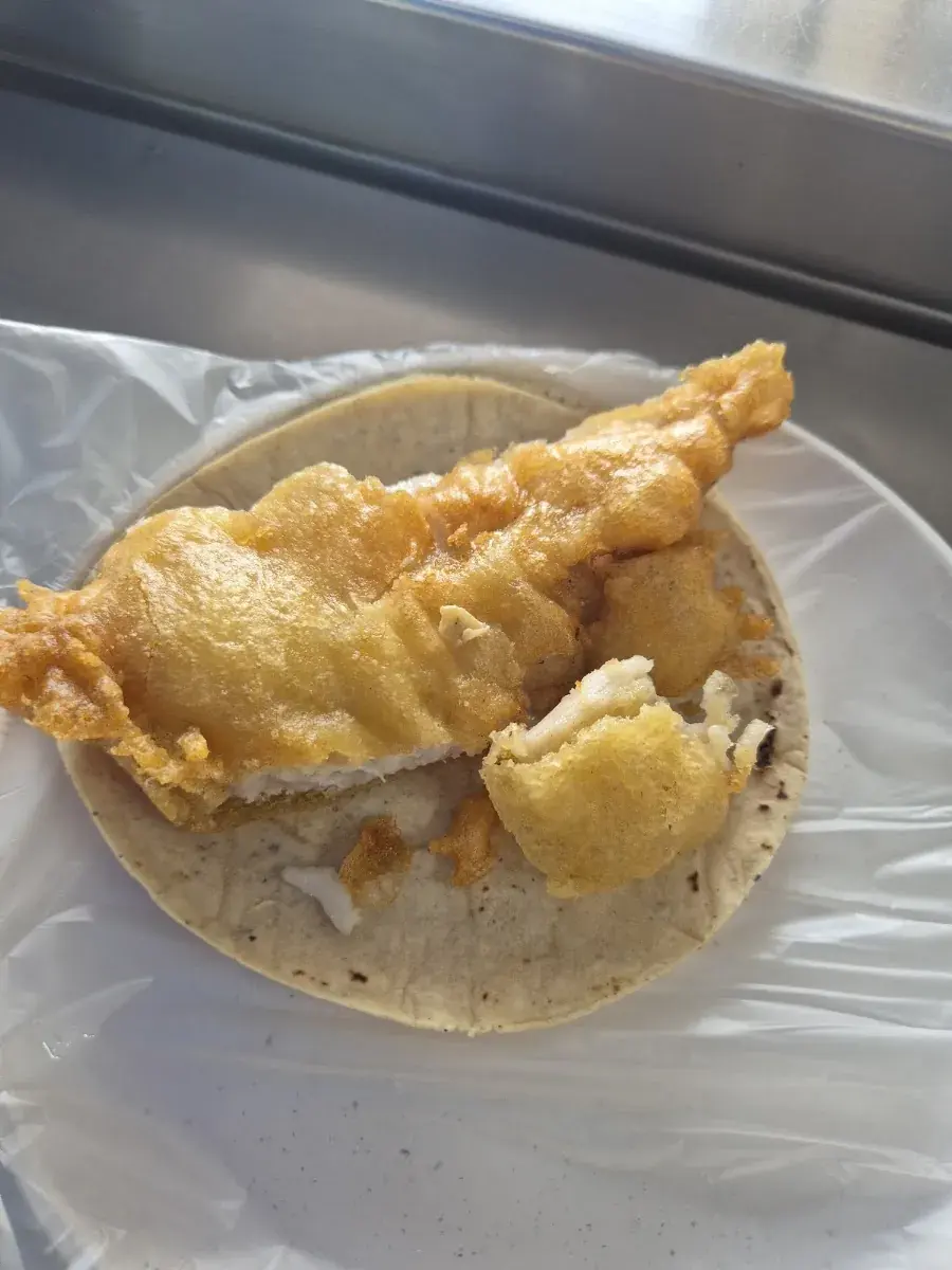 THE HAPPY FISH
